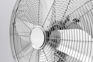 basic fan