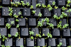 what can happen if you don't clean your keyboard